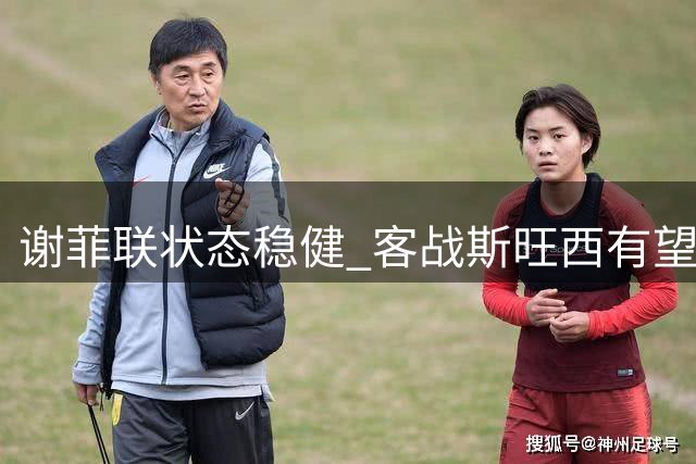 谢菲联状态稳健 客战斯旺西有望延续强势